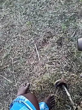 dolphiinn Live XXX Chat