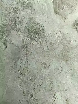 Živý XXX chat Anujes