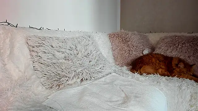 Chatroom XXX en direct de BrianaDiamondXXX