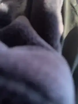 Živý XXX chat SandraCarter