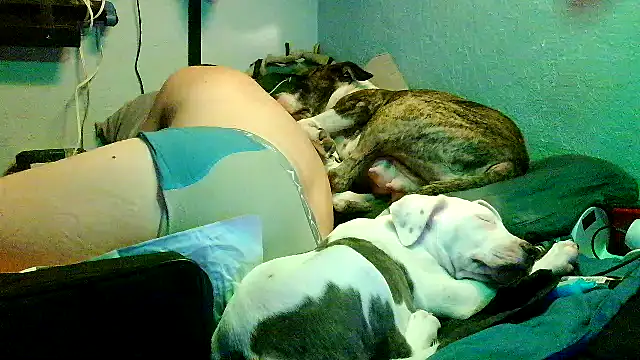 PornStro921 Webcam show