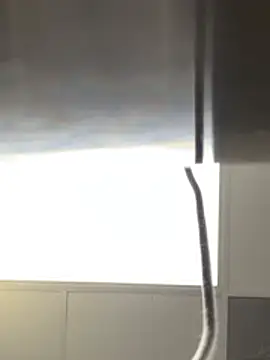 hailzeffn: вебкам-шоу