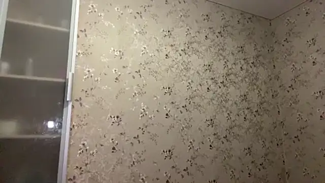 Dinadream's Webcam Show