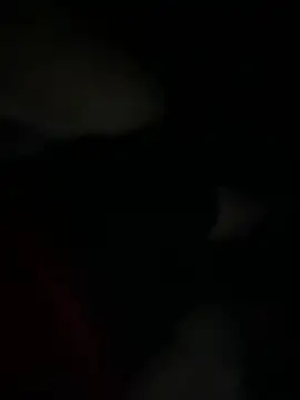 littleqiu Obrolan Langsung XXX