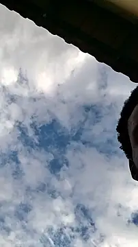 Czat XXX na żywo – MrD_TSA012