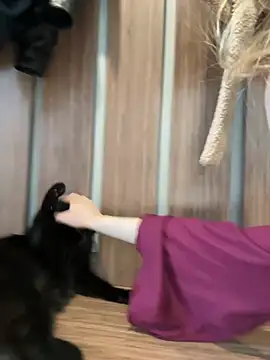 Chatroom XXX en direct de Marryme-