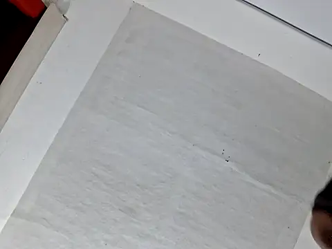 ZaidaWet Live XXX-chat