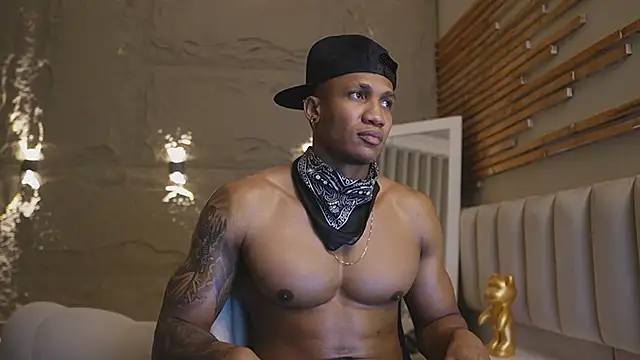 Show webcam de Logan_Varela