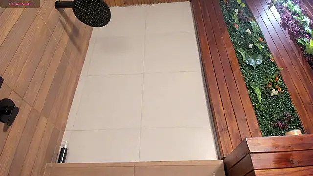 nicktorn Show Webcam