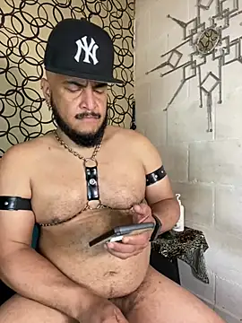 the_master_foal_のライブXXXチャット