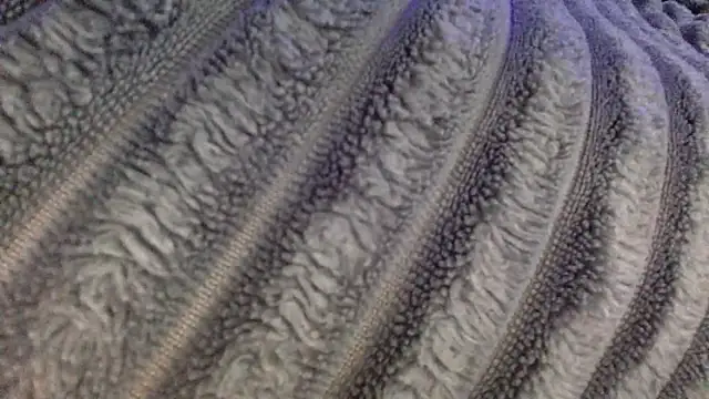 slutzilly's Webcam Show