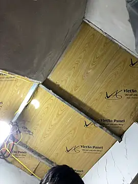 NHMDuc's Webcam Show