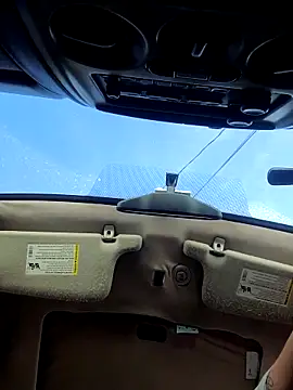 RebelDick1310 webkamerás műsora