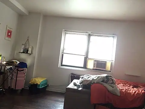 littyleesh1's Webcam Show