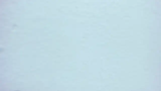 Chat XXX ao vivo de Jean_Jagger