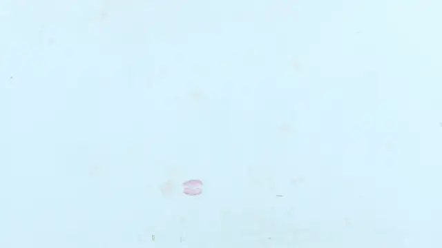 natalia_aguirre1 라이브 XXX 채팅