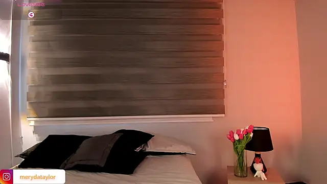 MERIDA_TAYLOR Adlı Modelin Canlı XXX Sohbeti