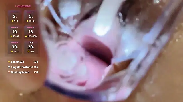 yueyue2003n Webbikameraesitys