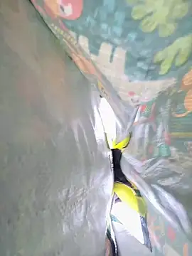 littyleesh1 Live XXX-Chat