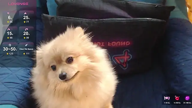 Hell_queen786 Adlı Modelin Web Kamerası Şovu