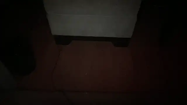 rexrocket33 – Naživo XXX chat