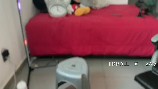 zamir333 Live XXX-chat