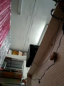 Chat XXX en directo de Mia_Novikov