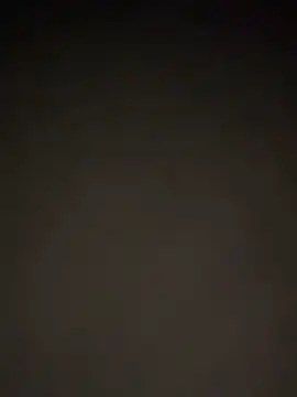 PrinceNoAlbert Live XXX Chat