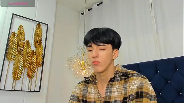 Show webcam de AerumChae