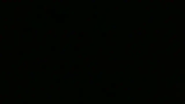 Show webcam de Chichoplus1