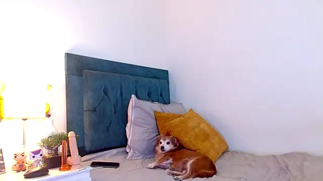 cedrixx10: απευθείας συνομιλία ΧΧΧ