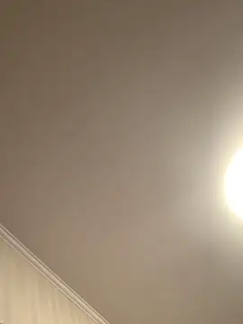 Frosl's Live XXX Chat