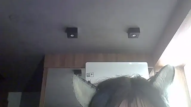 Show Webcam de SkinnyKitten