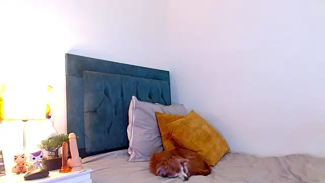 cedrixx10 élő XXX-chatje