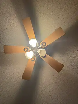 carlithefreak's Webcam Show