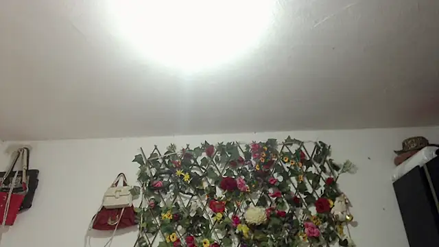 Chat XXX en directo de sexysusan4you