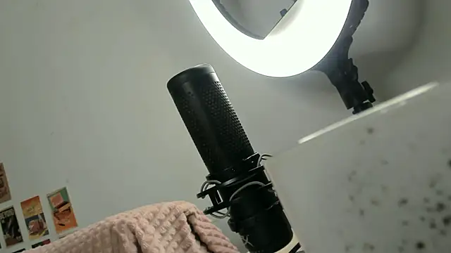 CipherMoth's Webcam Show