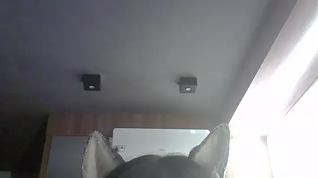 Show de webcam de SkinnyKitten