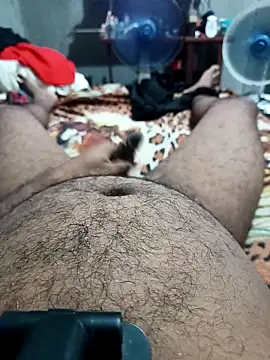 Mailsonp Webcam-Show