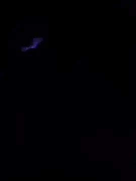 sarahpearlx: онлайн-секс-чат