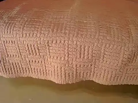 Webkamerová show Barry-Kent