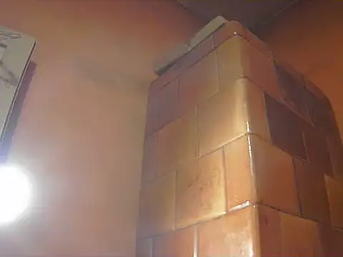 Show modela Barry-Kent na web-kameri