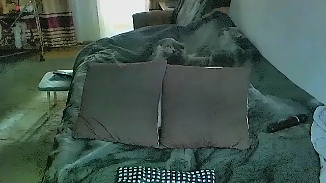 sex2 Chat XXX in diretta