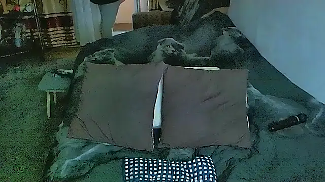 Chat XXX en directo de sex2