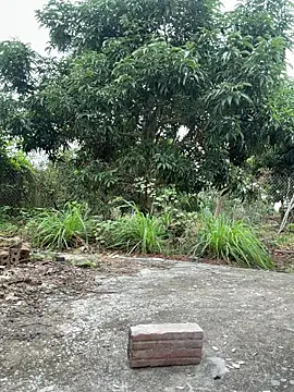 Naughty___asian 在線直播表演