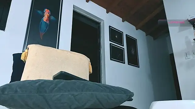 SilvaBranko: онлайн- секс-чат