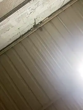 Brenda__222 Live XXX-chat