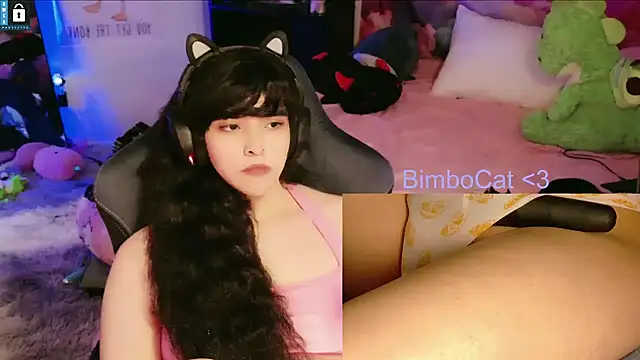 Show Webcam de BimboCat