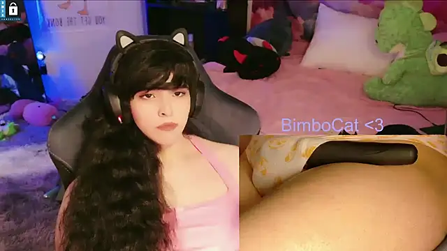Show webcam de BimboCat