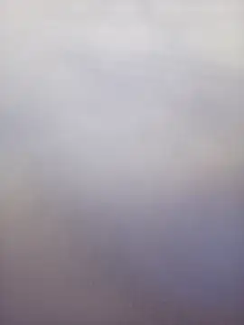 nolan-00 即時 XXX 聊天